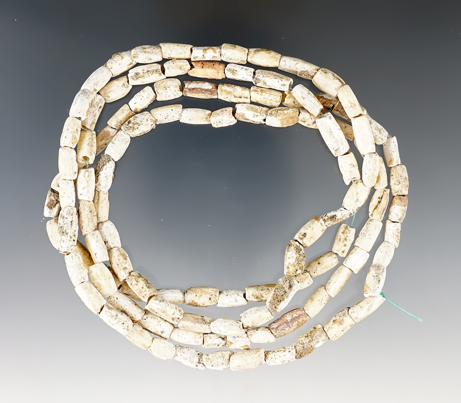38" Strand of ancient shell beads found in Tennessee.