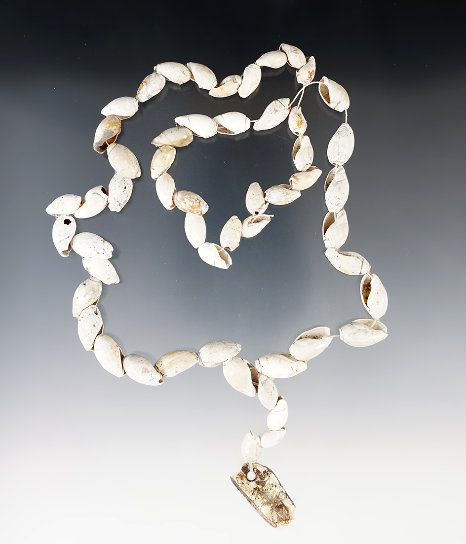 24" Long strand of ancient drilled snail beads, Tennessee.