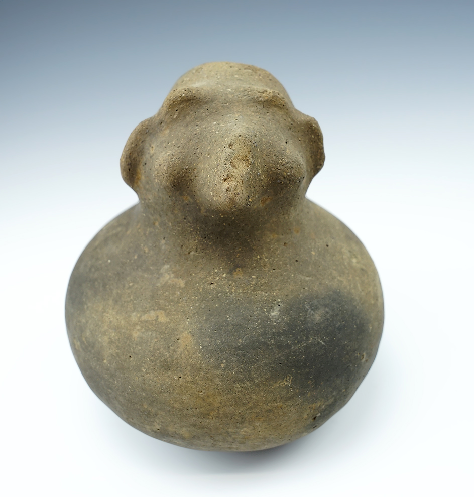 5 1/4" x 5 1/2" Mississippian Hooded bottle  Arkansas.