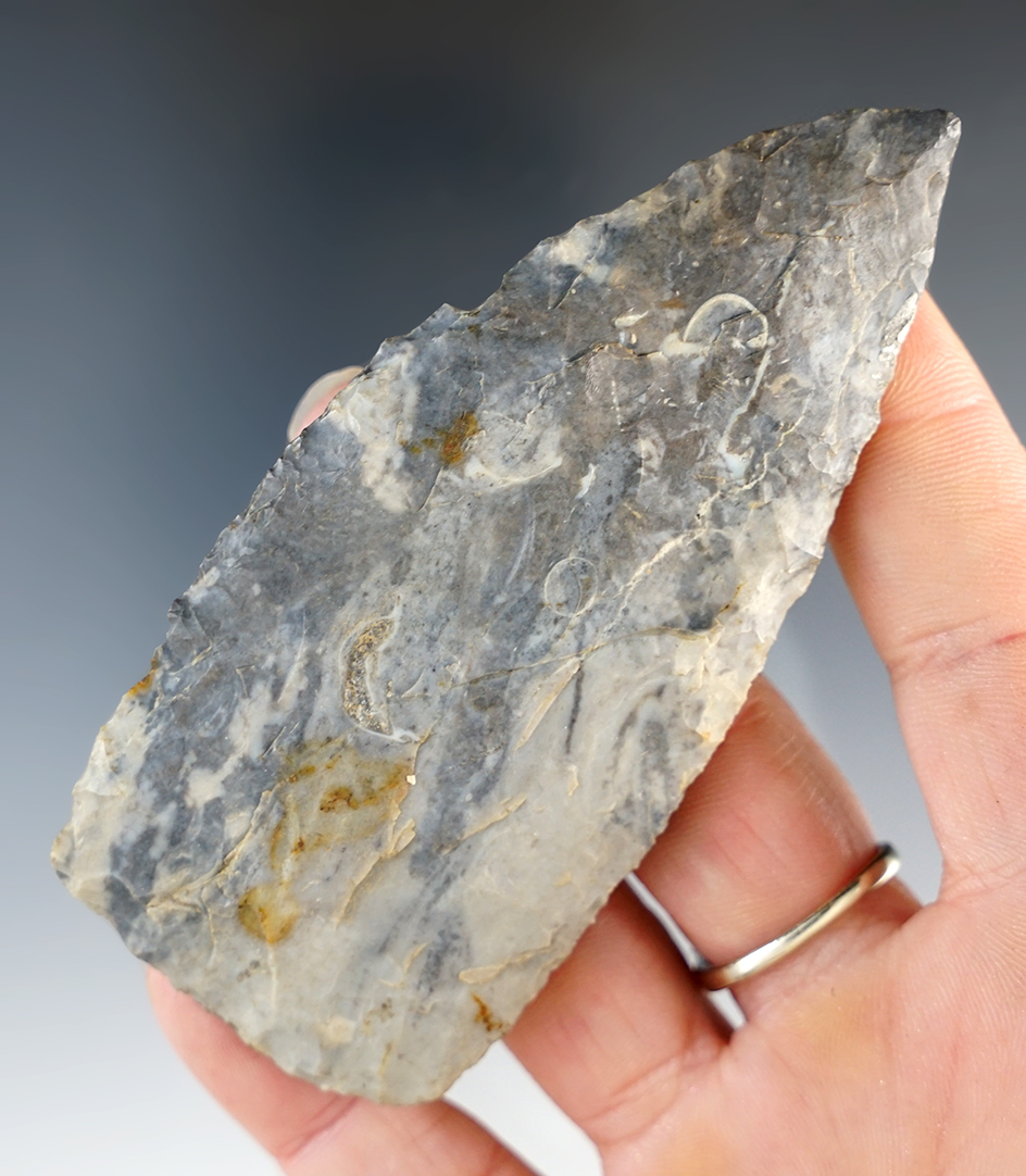 3 11/16" Archaic Blade, blue and grey material, Illinois.