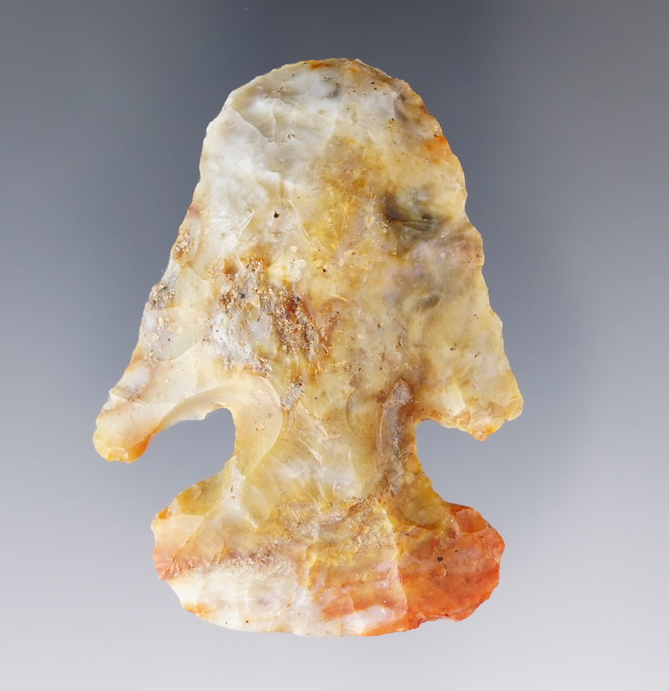 2 3/8" Archaic Thebes Deep Notch Blunt, Wood Co., Ohio.