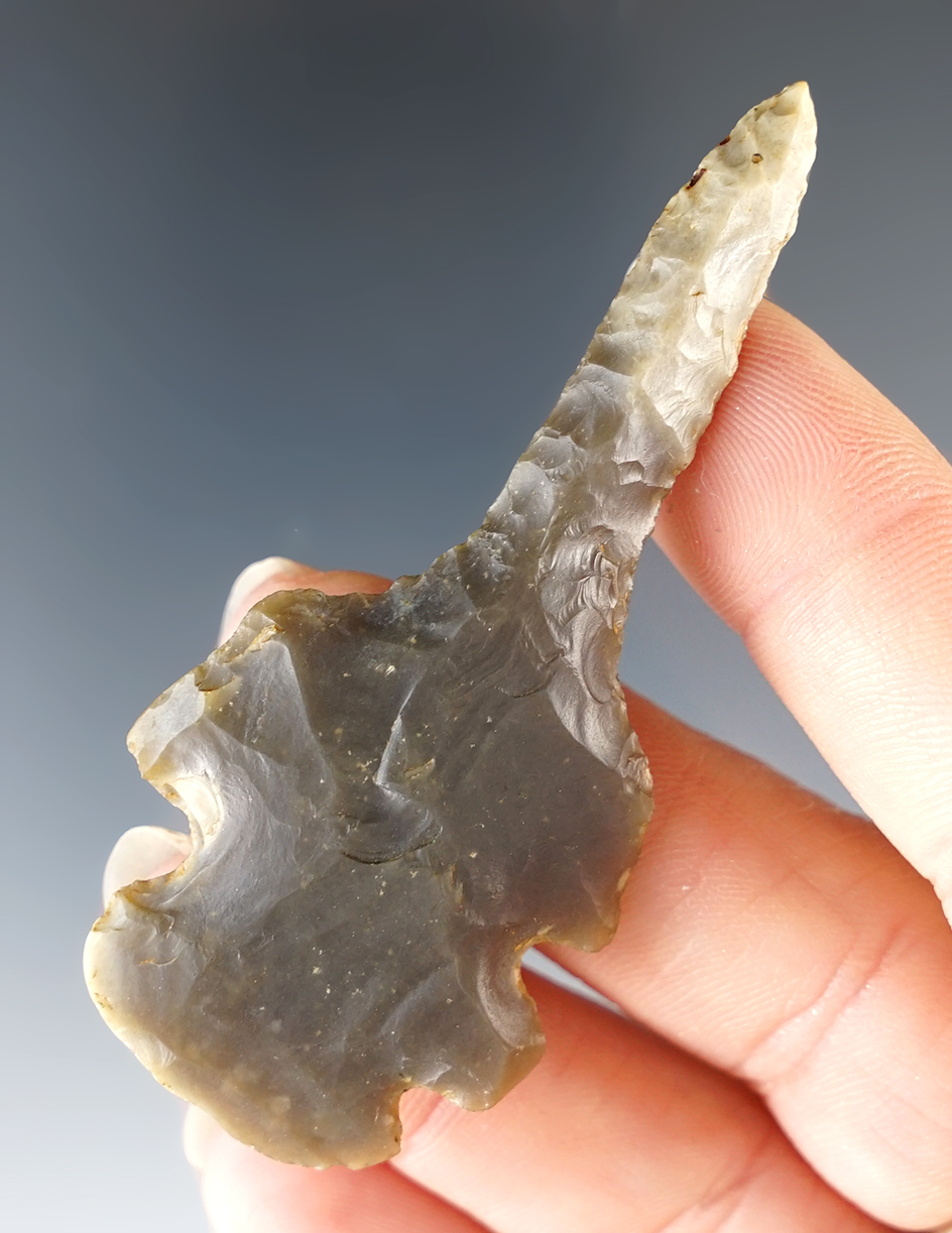 2 3/4" Double Notched Drill found in Kentucky.