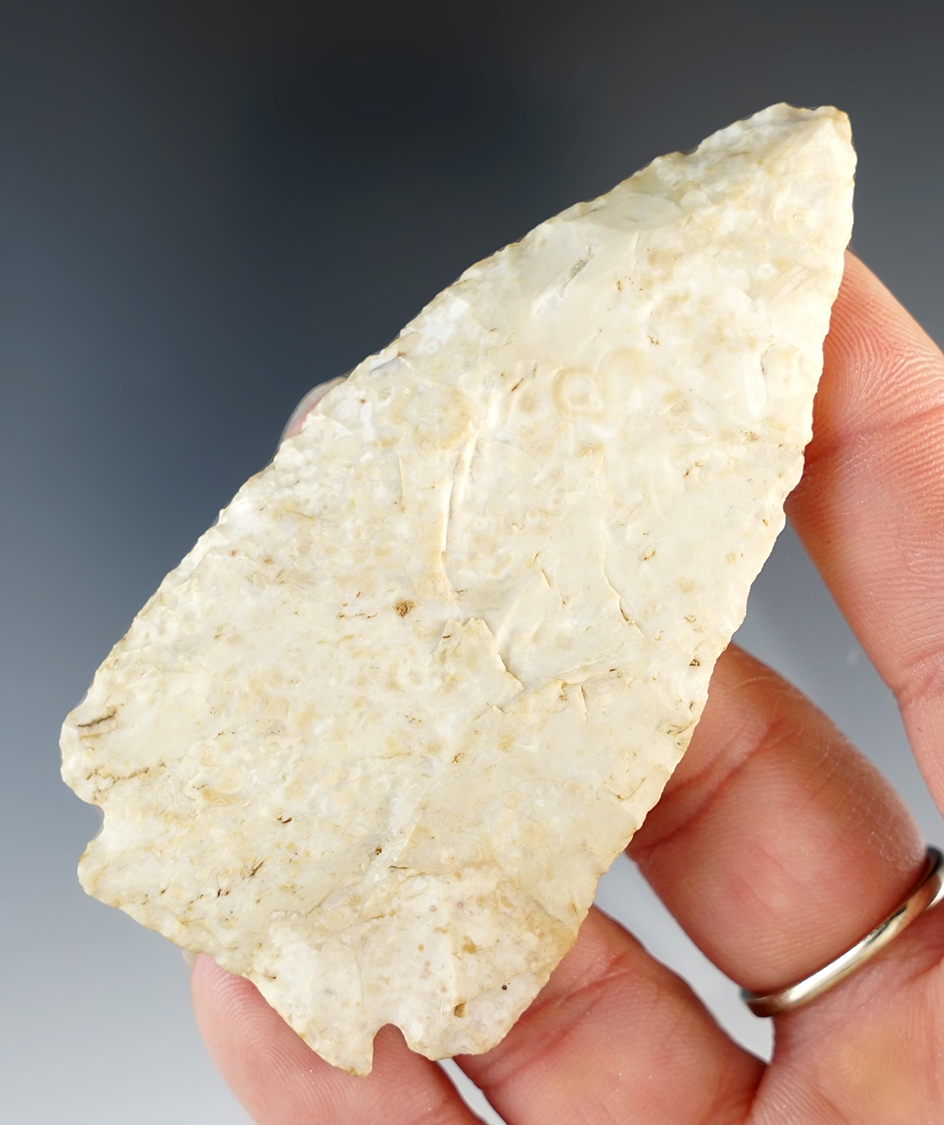 3 1/8" Decatur Fractured Base. LaSalle Co., Illinois.