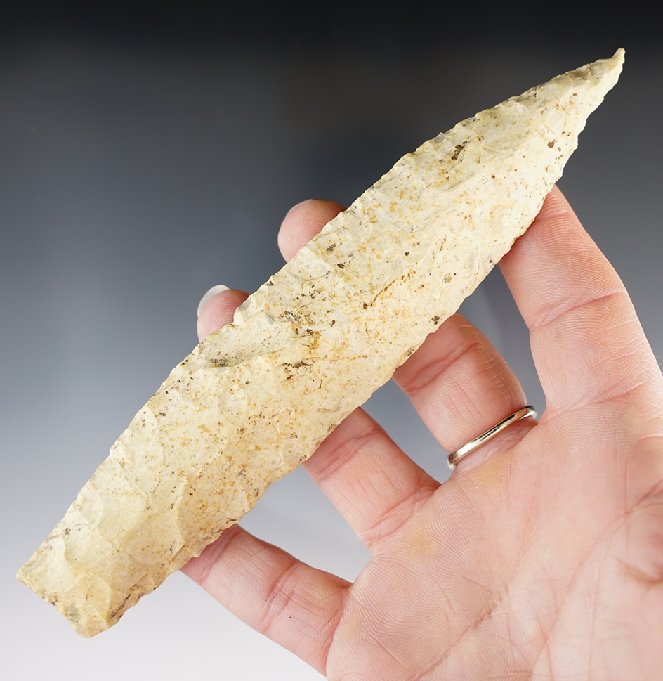 6" Sedalia found in Scott Co., Illinois.