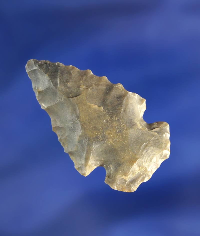 1 11/16" beveled miniature Dovetail found in central Illinois.