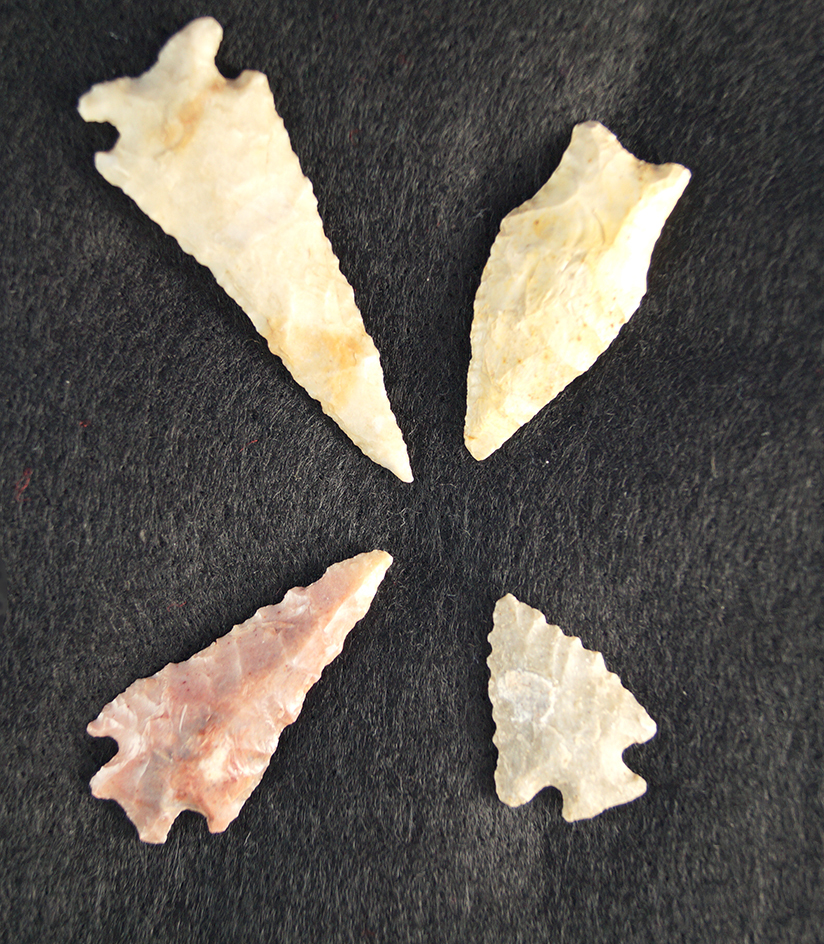 Set of four nice Texas and New Mexico arrowheads.   Largest is 2 1/4".