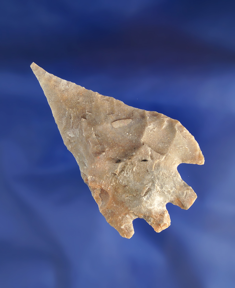 2 7/8" Montell with a nicely styled tip found in Kendall County Texas. Comes with a Rogers COA.