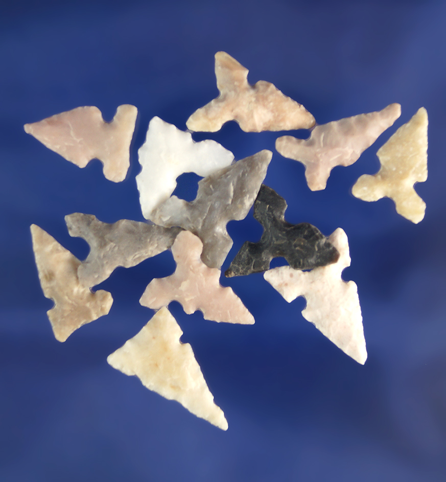 Set of 12 assorted bird points found in Texas, largest is 7/8".
