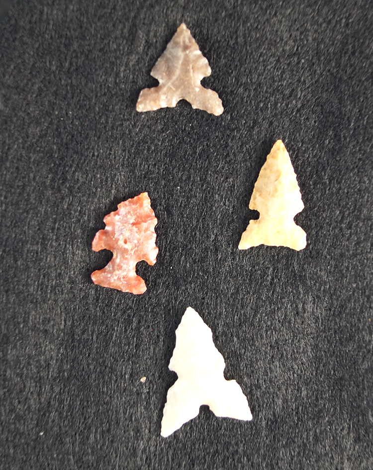 Set of four bird points, largest is 15/16". All found by N. D. Lizman in the Panhandle  Texas.