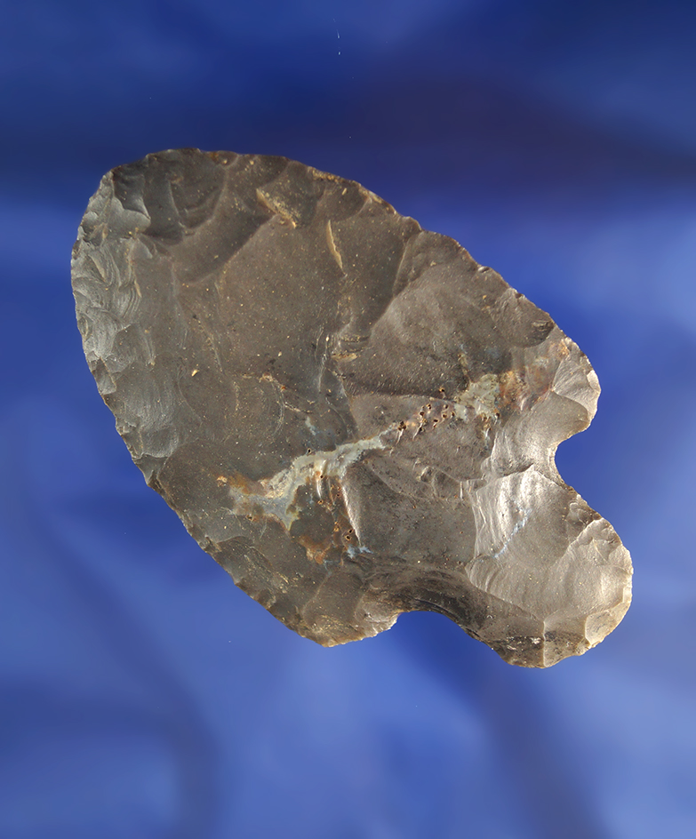 3 3/16" Turkeytail Hebron found by William Hard in Barry County Michigan. Jackson COA.