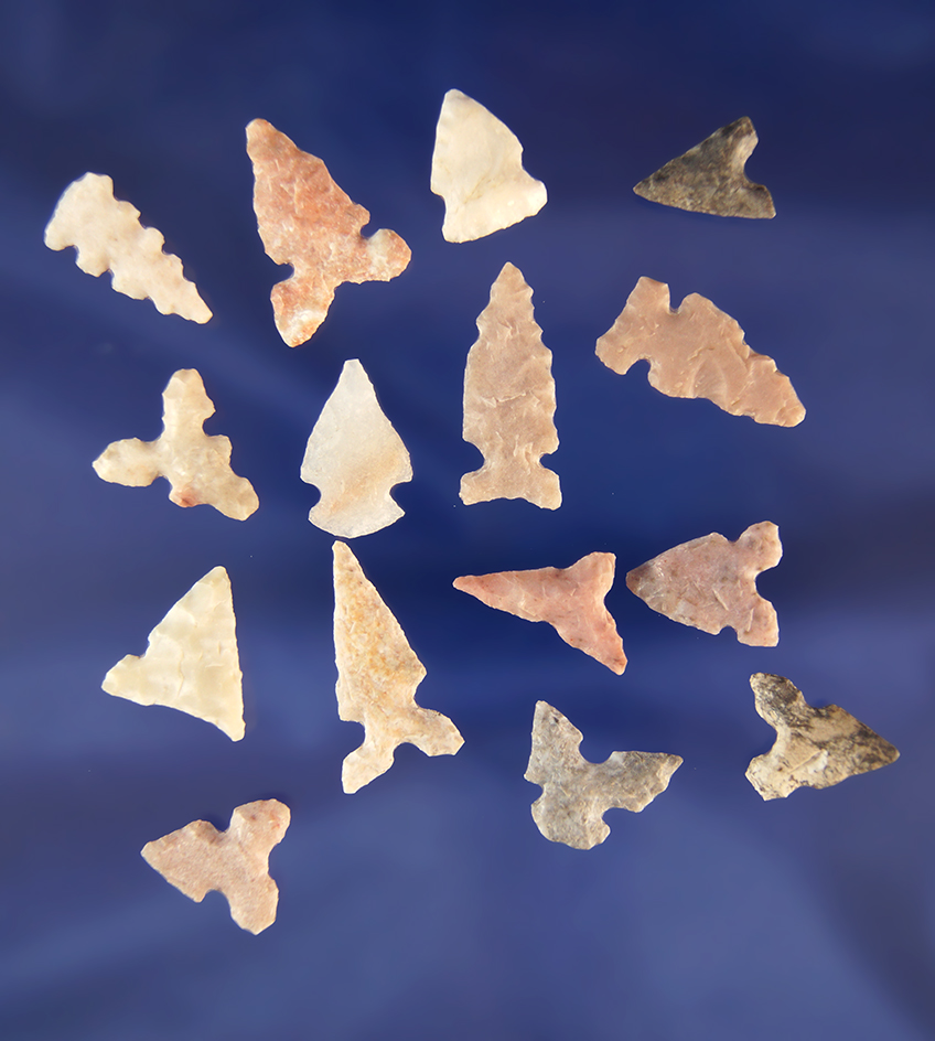 Set of 15 assorted bird points found in Texas, largest is 15/16".