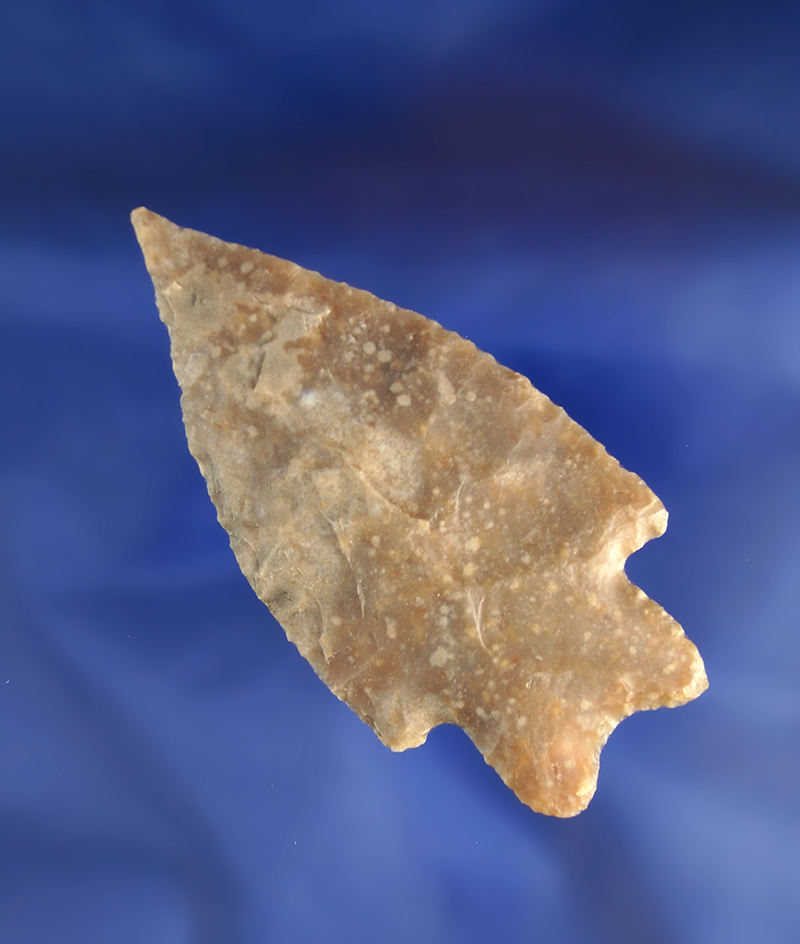 2 15/16" Pedernales point found in Central Texas. Comes with a Rogers COA.