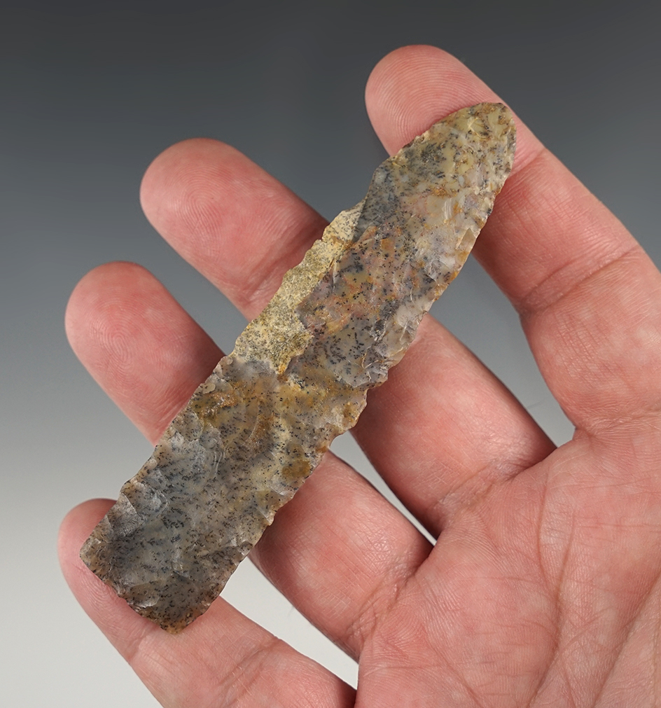 Highly collectible 3 13/16" Eden found by Robert "Ed" Harris in Weston Co., WY.  Stermer COA.