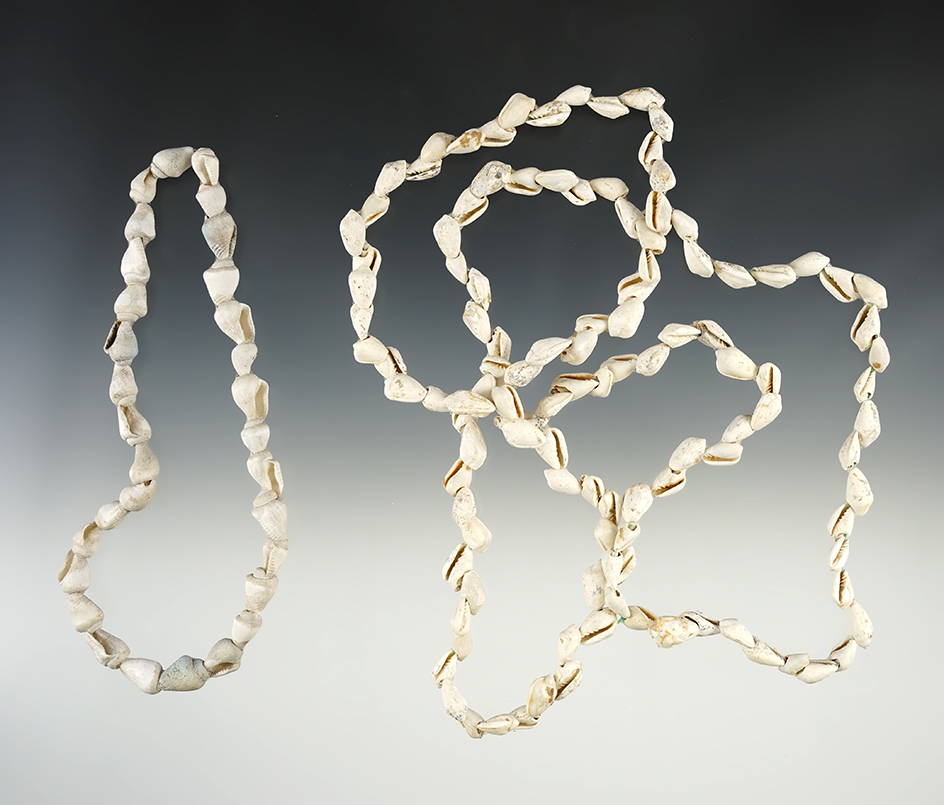 Pair of nice Shell Necklaces. One is 12" and the other is 35".