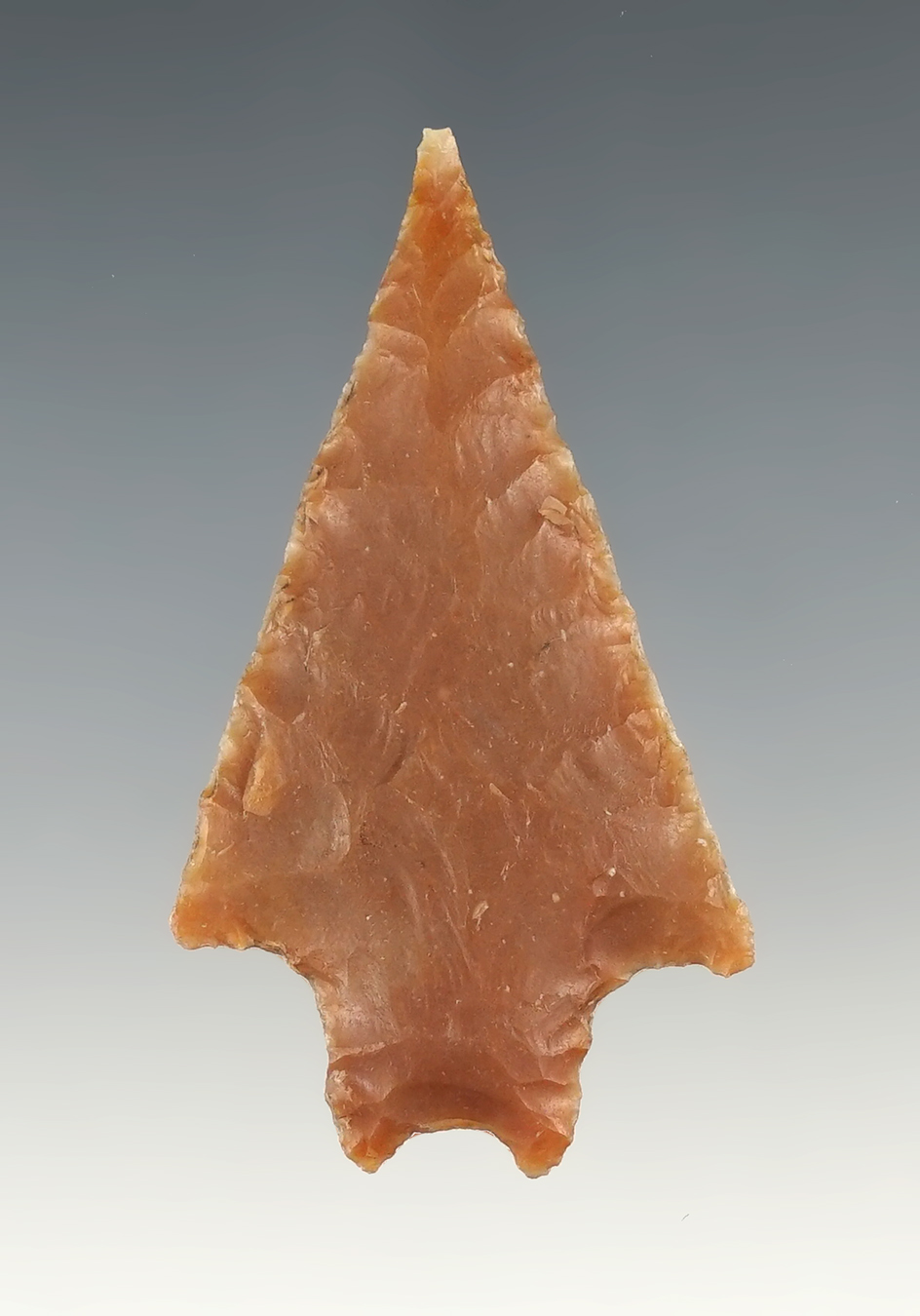 Finely made 2 7/16" Pedernales found in Real Co., Texas. Ex. Bill Arnold collection. Rogers COA.