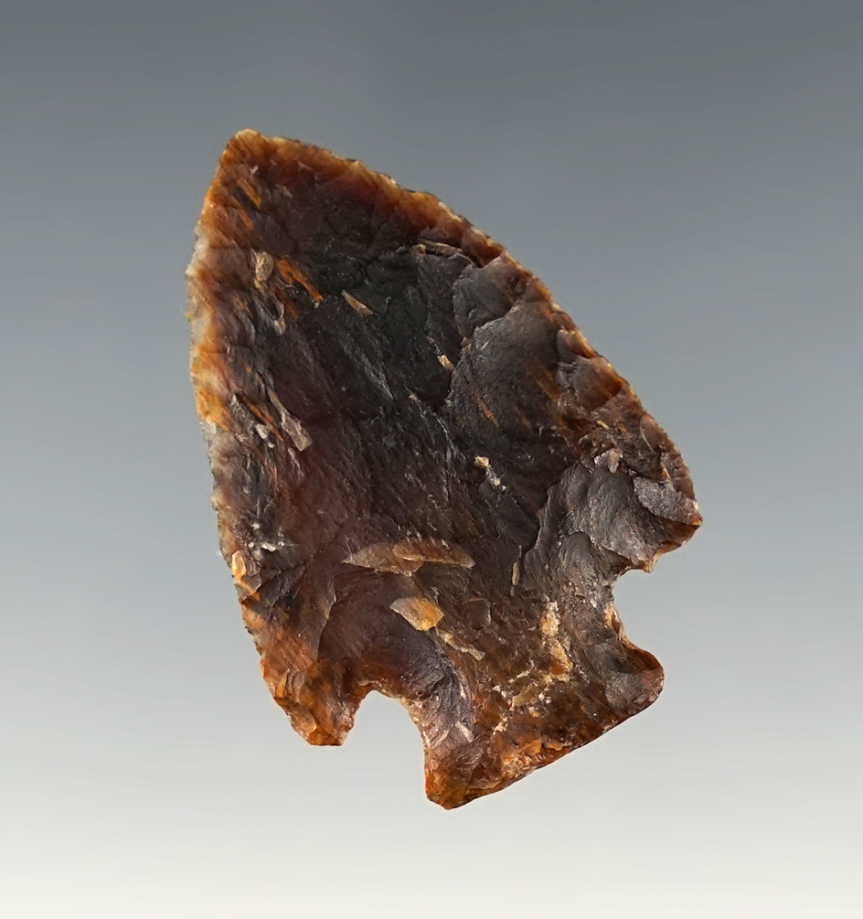 Very nice 1 9/16" Pelican Lake made from Silicified Wood. Western Oklahoma. Stermer COA.