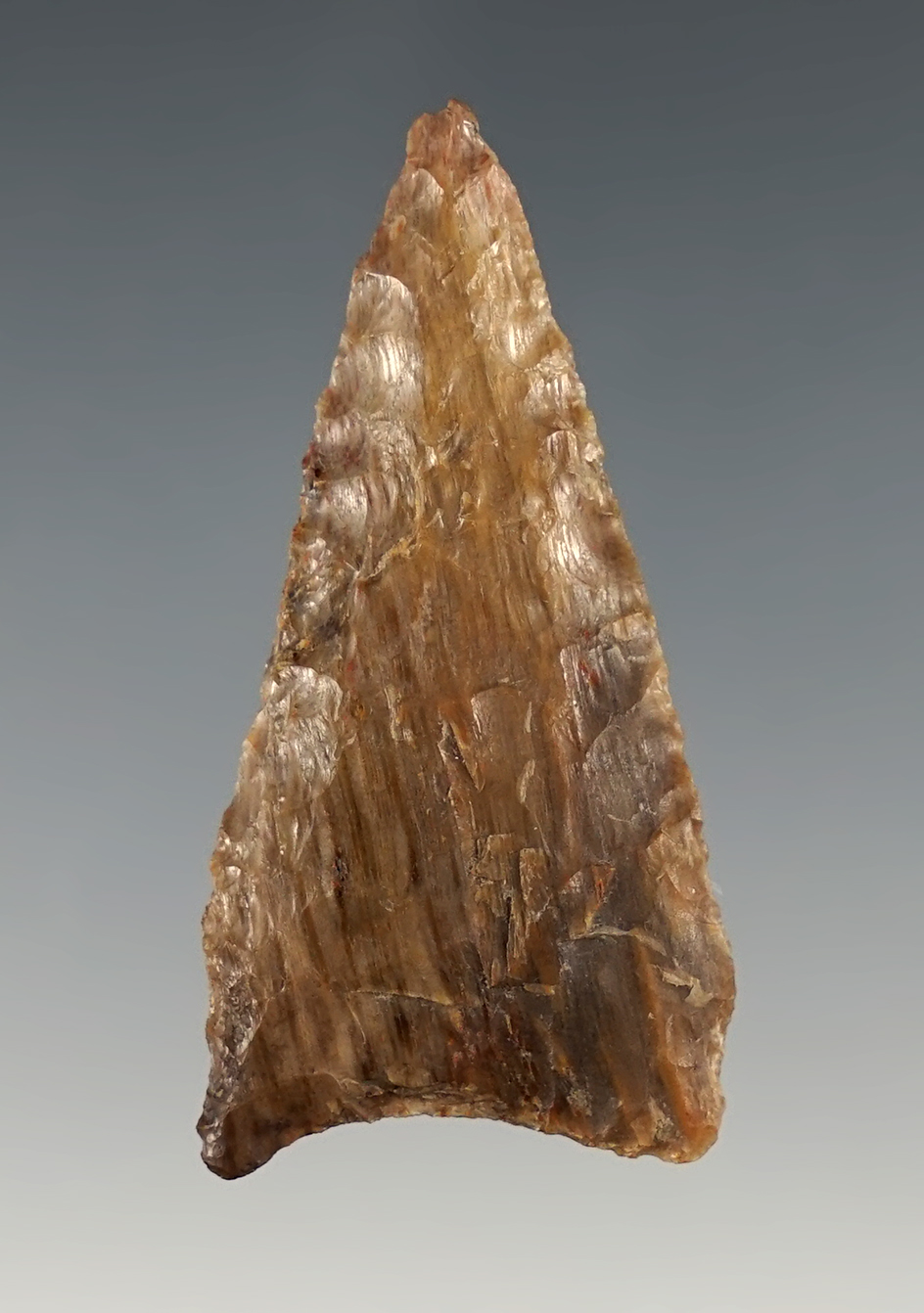 1 7/8" Dalton Meserve found in Western Oklahoma. Made from Silicified Wood. Stermer COA.