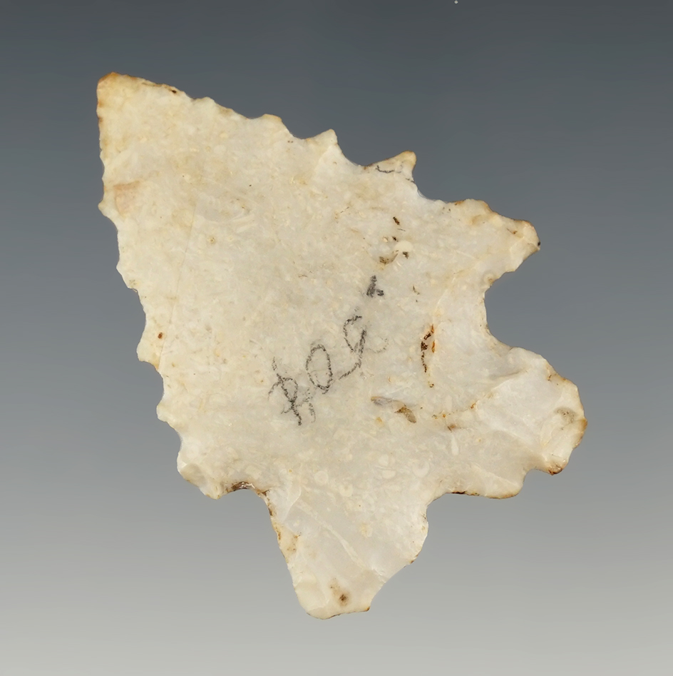 Heavily serrated 2" MacCorkle Bifurcate found in Waukesha Co., Wisconsin.