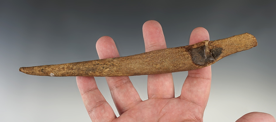 8 1/4" Antler Awl found in Sullivan Co., Missouri. Broken and glued. Ex. Steve McCabe. COA.