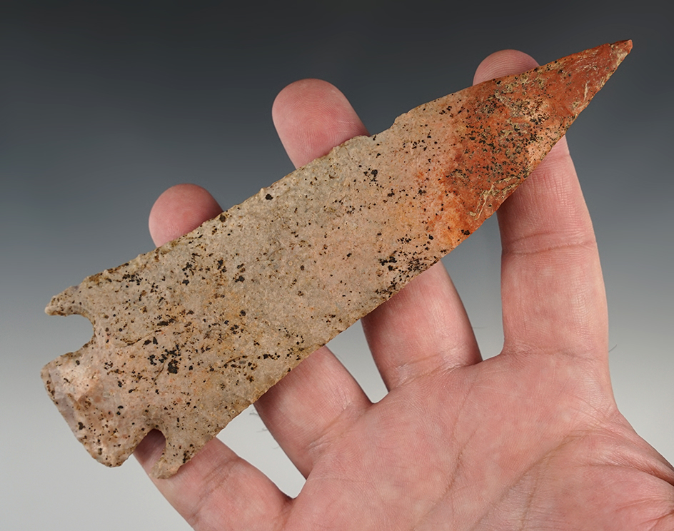 Huge 6 1/4" Smith point found in Cooper Co., Missouri. Well made and colorful. Motley COA.