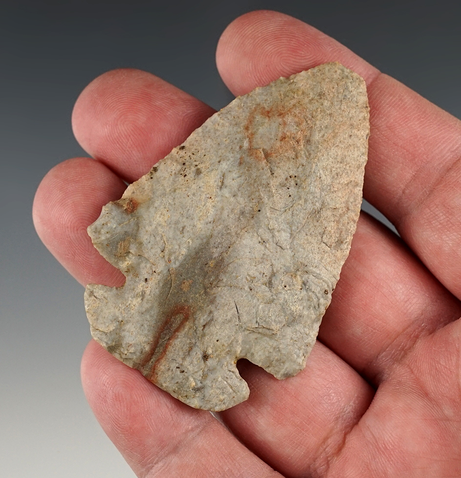 2 9/16" Dovetail made from beautiful Indiana Green. Found in Randolph Co., Indiana.