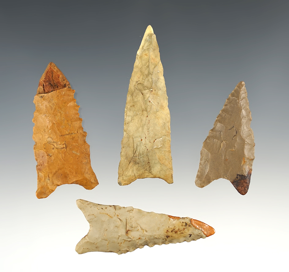 Set of 4 restored points from North Carolina and Arkansas. The largest is 2 9/16".