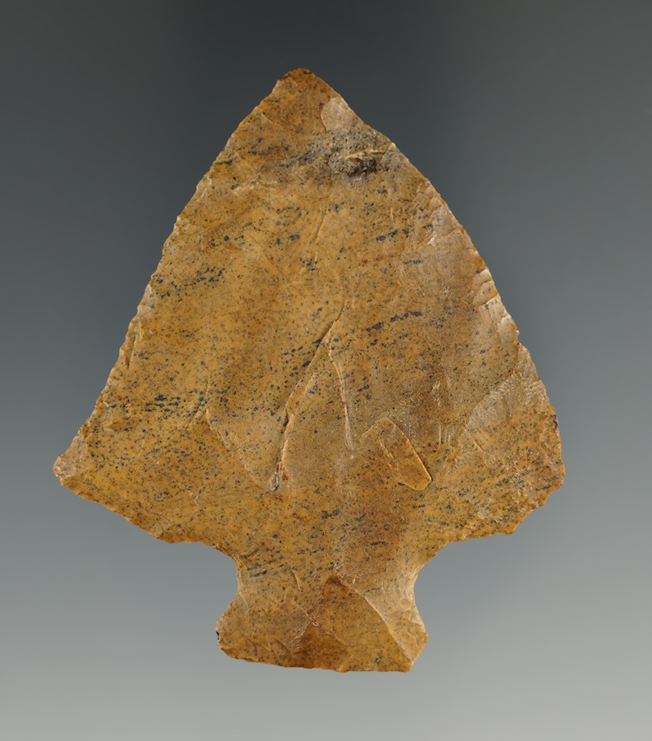 2 7/16" Perkiomen found in Burlington Co., New Jersey, made from Pennsylvania Jasper.