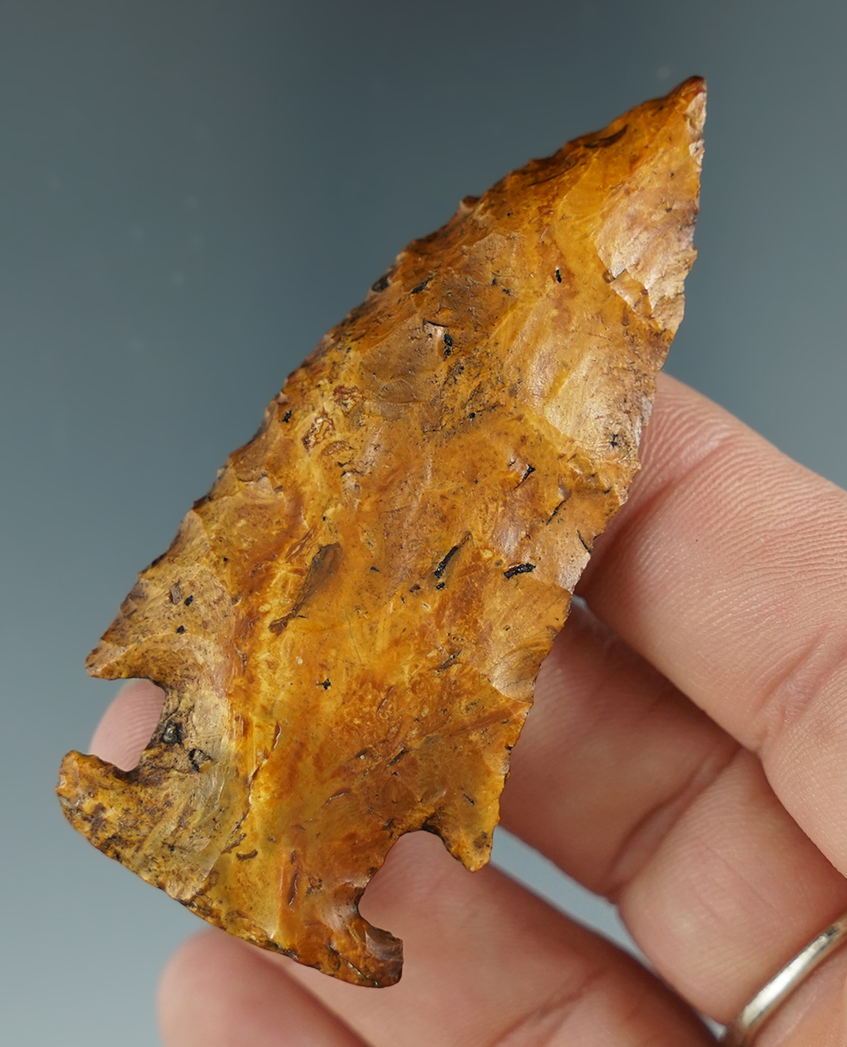 2 11/16" Bolen Beveled found in Florida, made from Suwannee River Stained Basin Chert. COA.