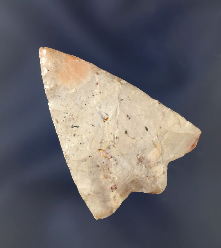 1 11/16"" Hillsborough point made from beautiful heat-treated Agatized coral - Pinellas Co.,  Florid