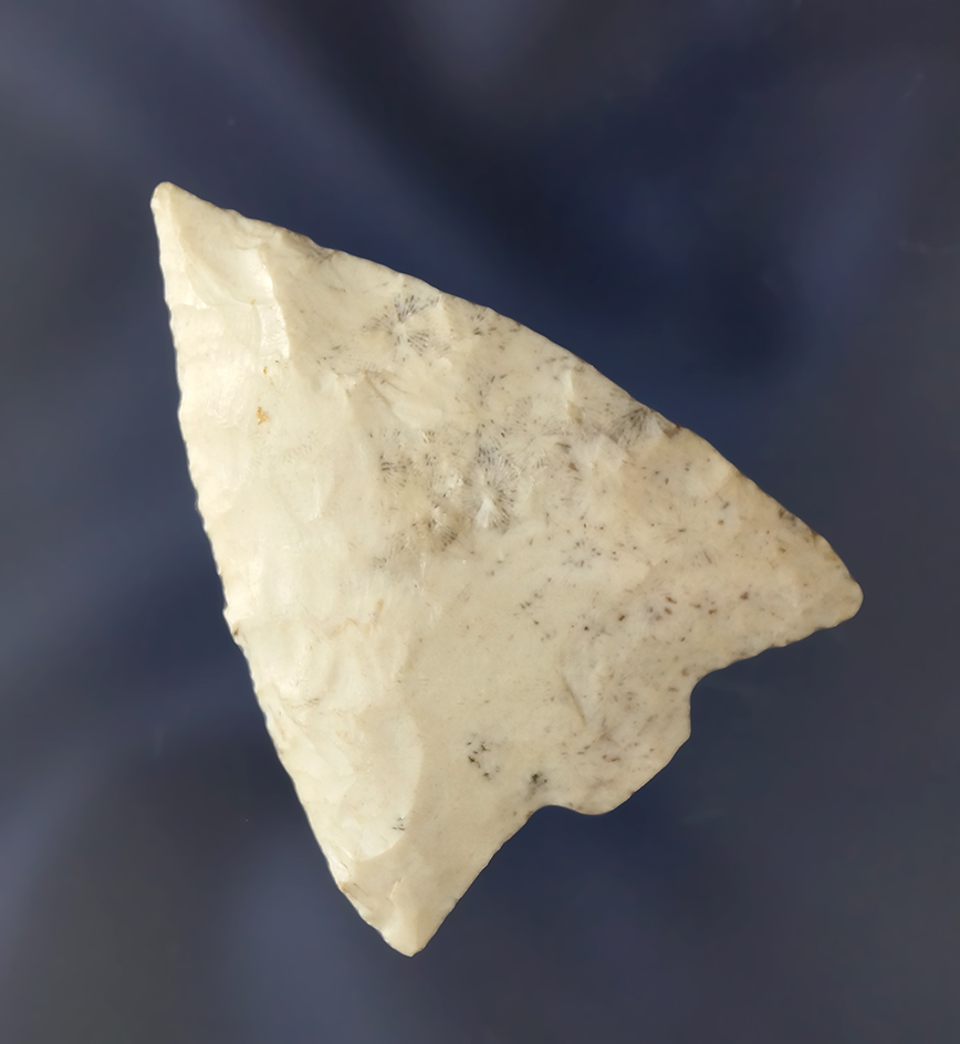 1 3/4" Hillsborough point made from attractive material found in Sarasota Co.,  Florida.