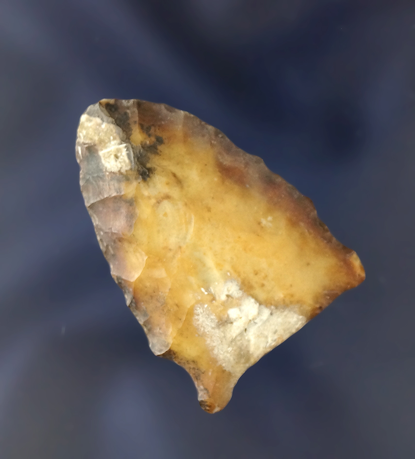 Transitional Paleo! 1 9/16" Union Side Notched with a heavily ground base - Florida.