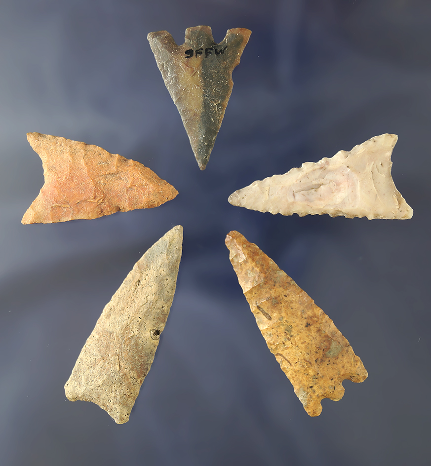 Set of five assorted arrowheads, largest is 1 11/16". found near the Santa Fe River, Alachua Co., FL