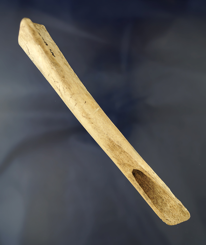 Rare! 6 5/8" Well patinated Bone Gouge in perfect condition, found in North Dakota.