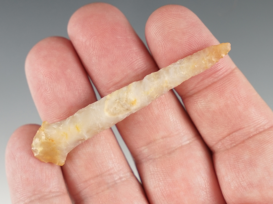 Fine 2 5/8" Drill found in Oregon.