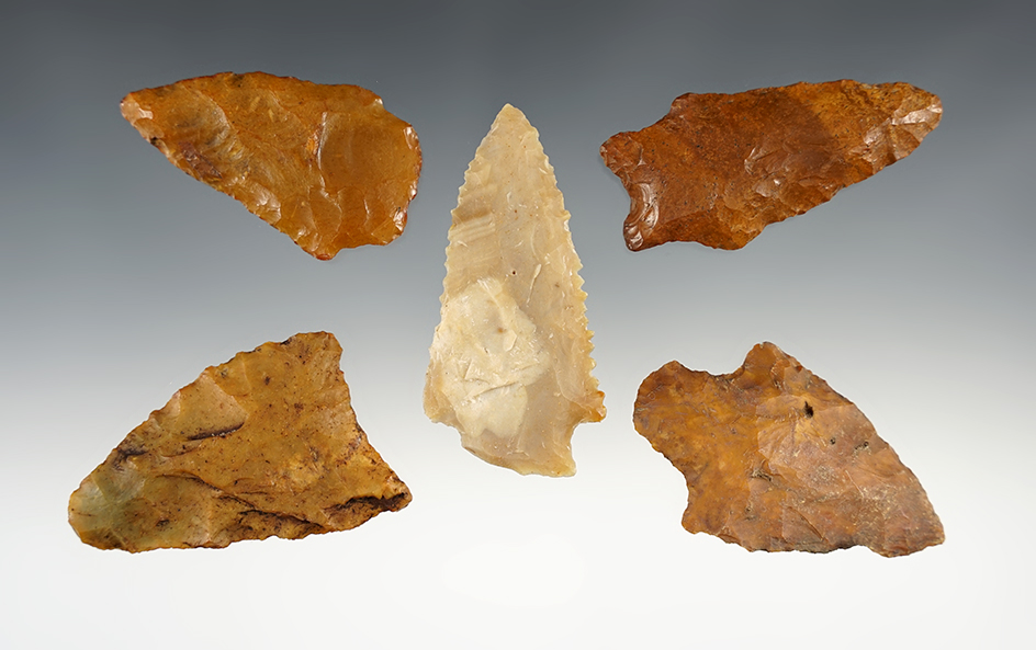 Set of 5 Florida points. The largest is 2 3/4".