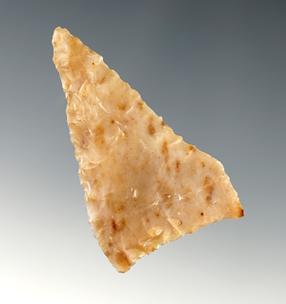 2 1/8" Plateau Pentagonal - Umatilla, Oregon. Made from beautiful Silicified Wood.