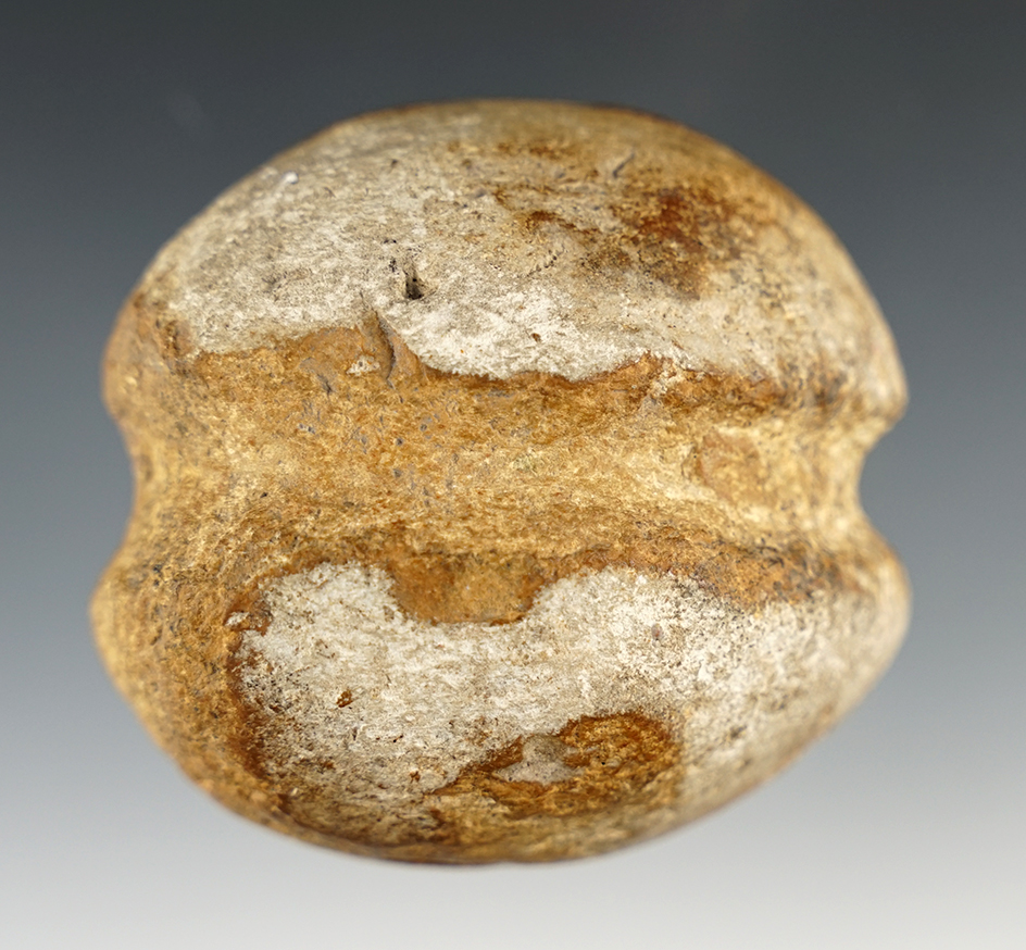 2 1/2" Historic Era Club Head - Illinois. Pictured in Who's Who #9, page 88. Ex. Robin Fiser.