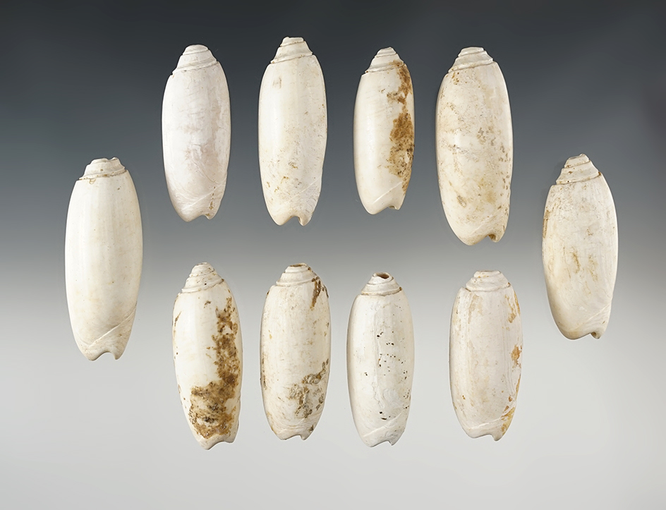 Set of 10 Drilled Shell Beads found in Tennessee/Kentucky. The largest is 2 3/8".