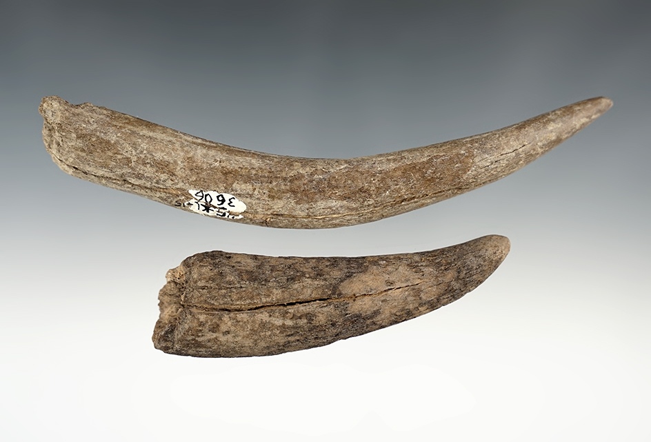 Pair of Antler Knapping Tools found around Umatilla, Oregon. The largest is 6 3/16".