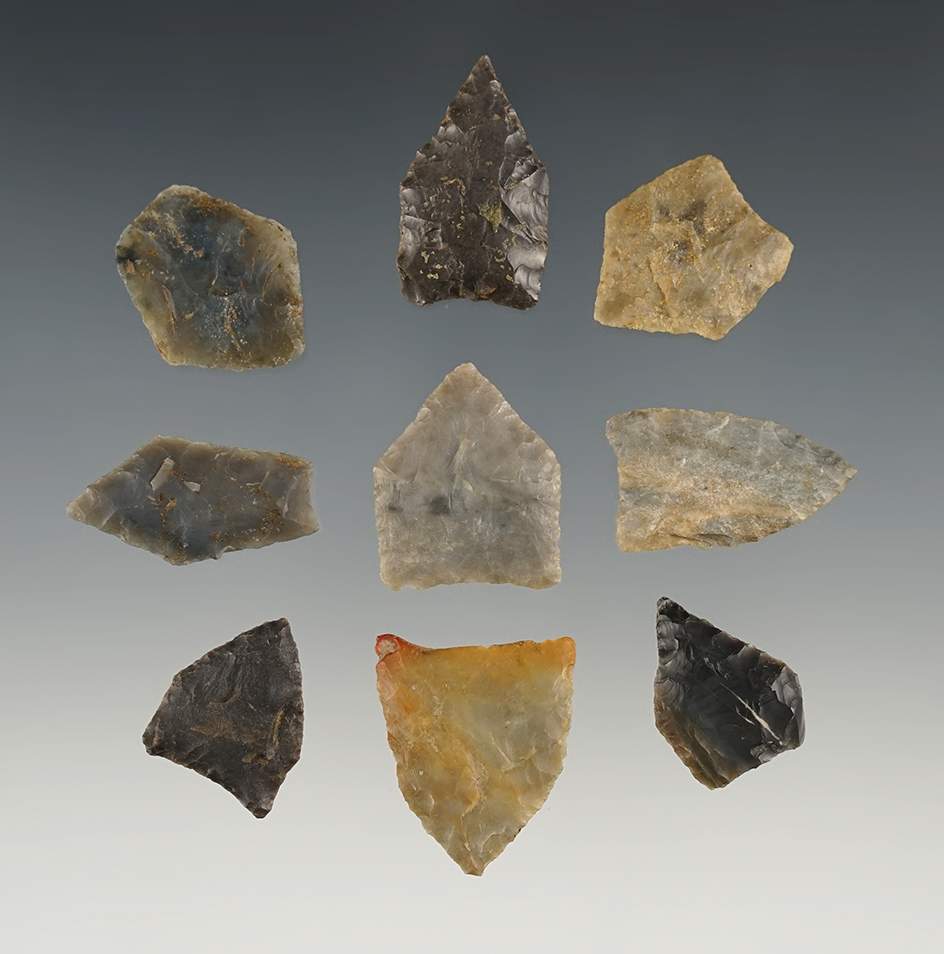 Set of 9 Jacks Reef Triangles found in Tennessee/Kentucky. The largest is 1 1/16".