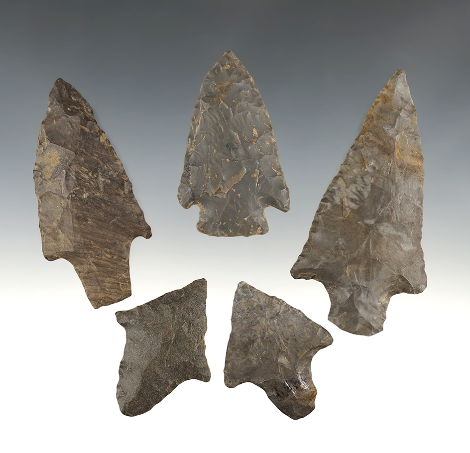 Set of 5 well made points found in Tennessee/Kentucky. The largest is 3 5/16".