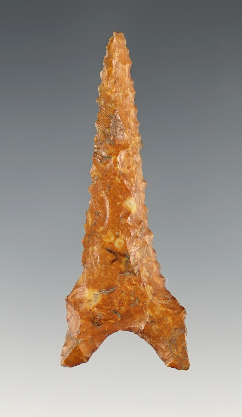 2 5/8" Dalton Drill that is heavily Beveled and well patinated.