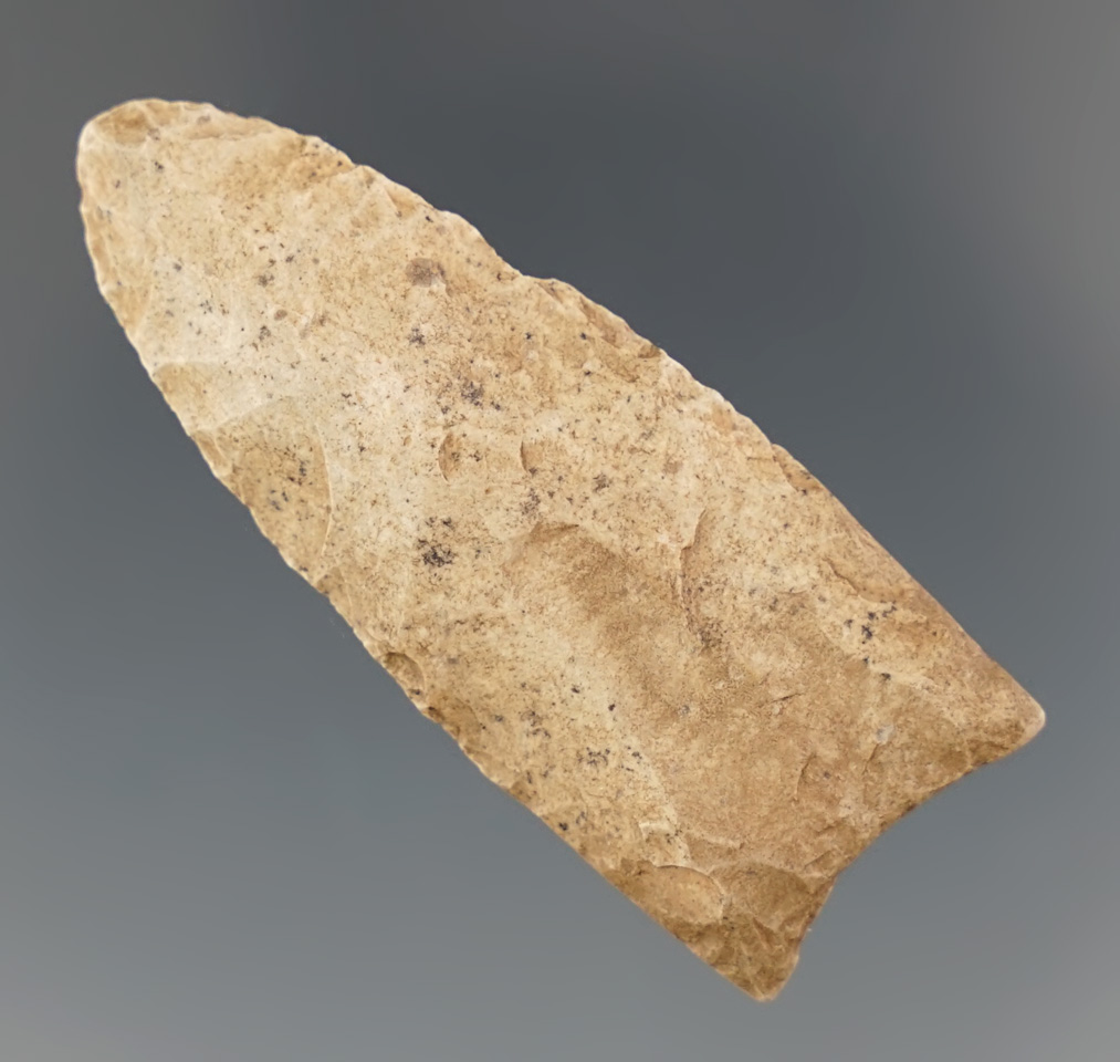 1 7/8" Paleo Fluted Clovis found in Virginia. Comes with a Bennett COA.