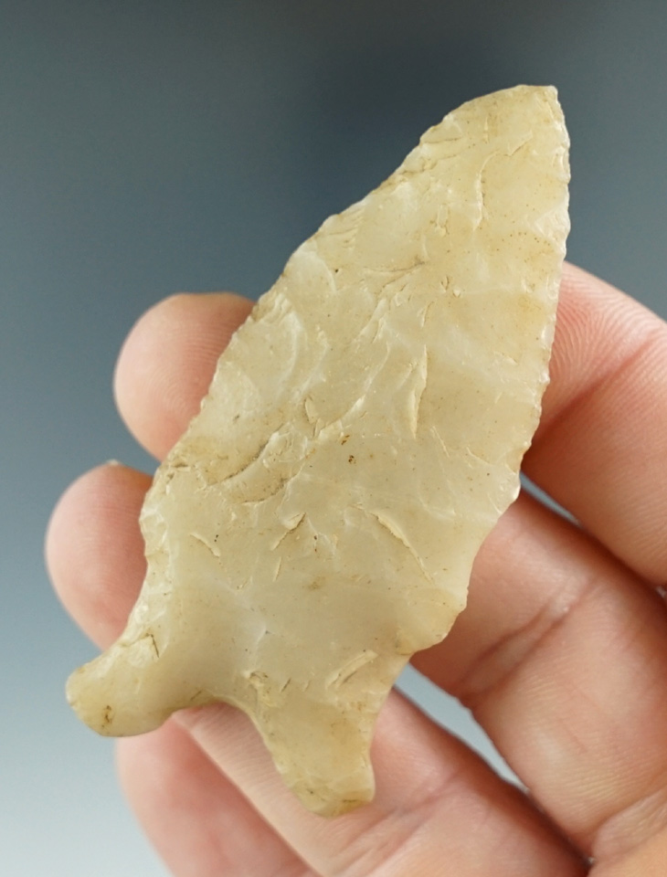 2 7/16" Dalton made from Novaculite, found in Arkansas. Comes with a Davis COA.