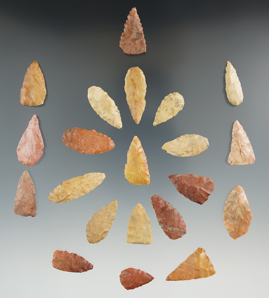 Group of 21 Nodena Points found in Lee Co., Arkansas, largest is 1 1/4". Comes with Partain COAs.