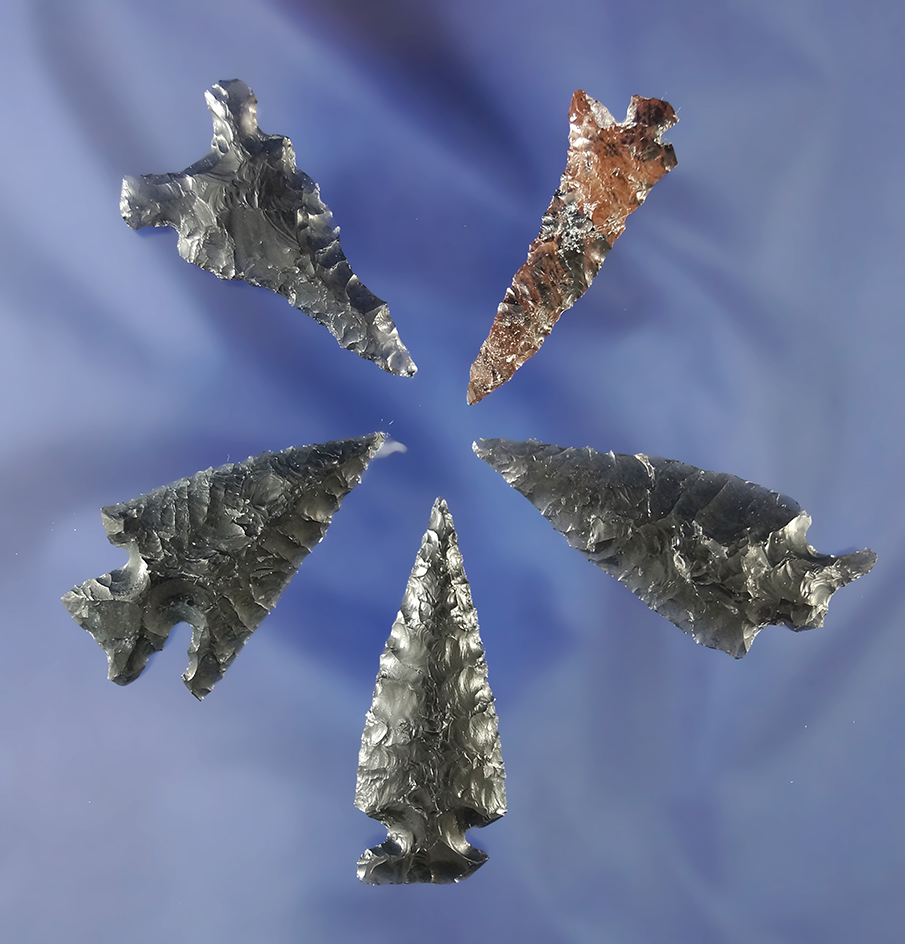 Set of five assorted obsidian artifacts, largest is 1 7/8". Found near Fort Rock Oregon.