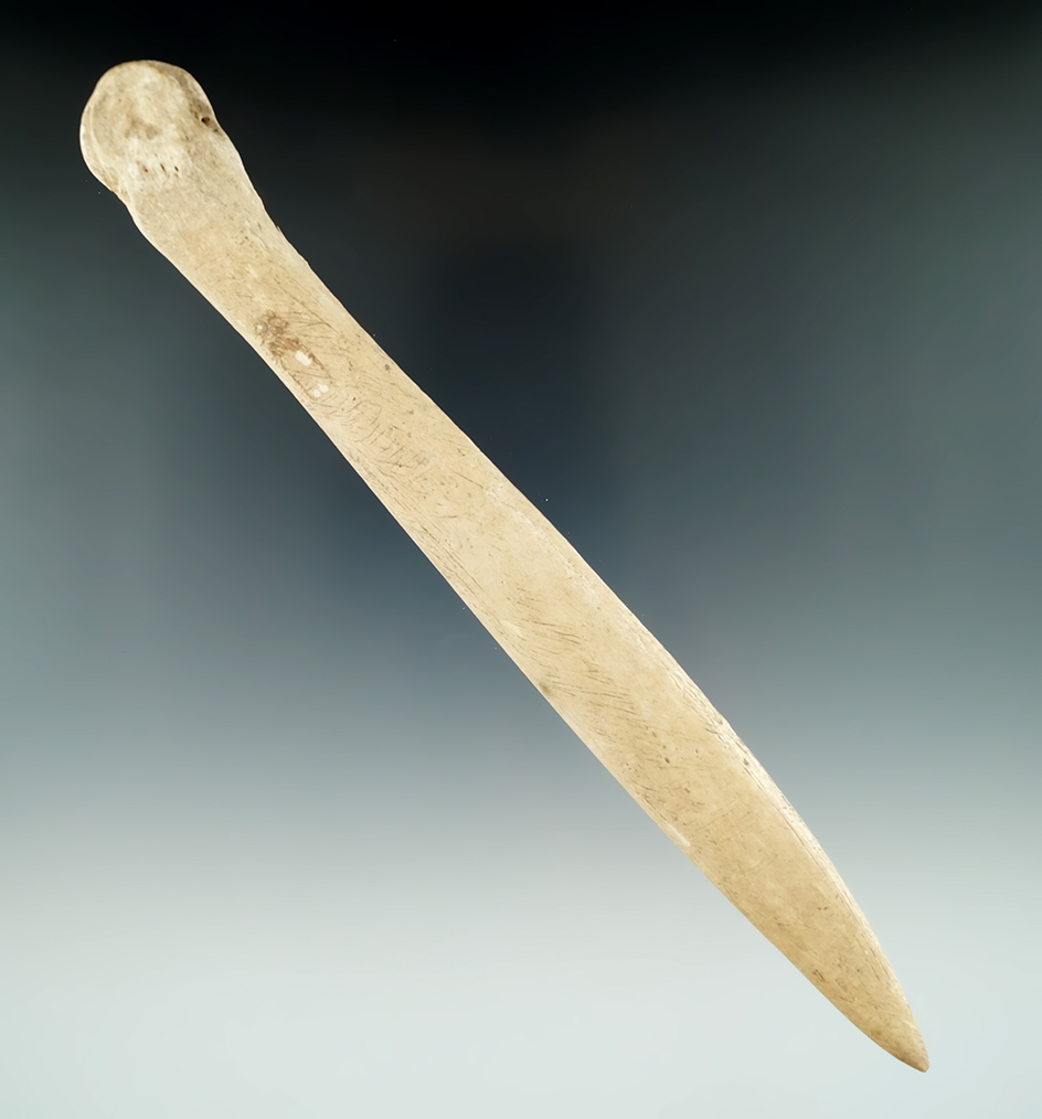 Very large 8 3/16" Bone Awl found in northern Kentucky.