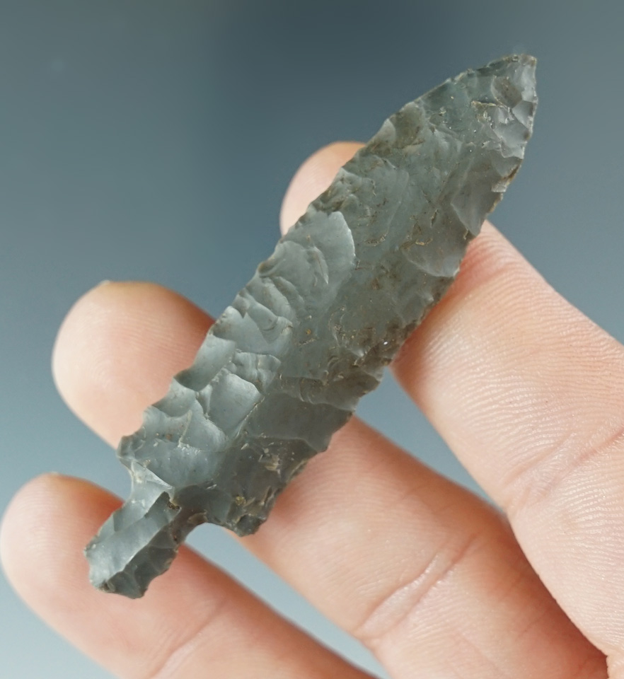 Rare! 2 1/2" nicely flaked Bear point recovered in Alaska.