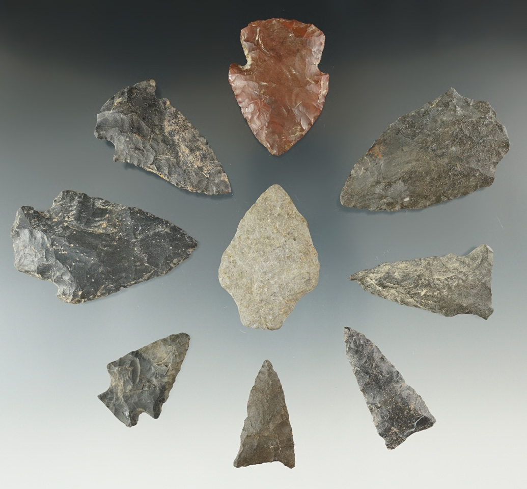Group of 9 points found on 3 mile Island, Dauphin County Pennsylvania in the 1930s.