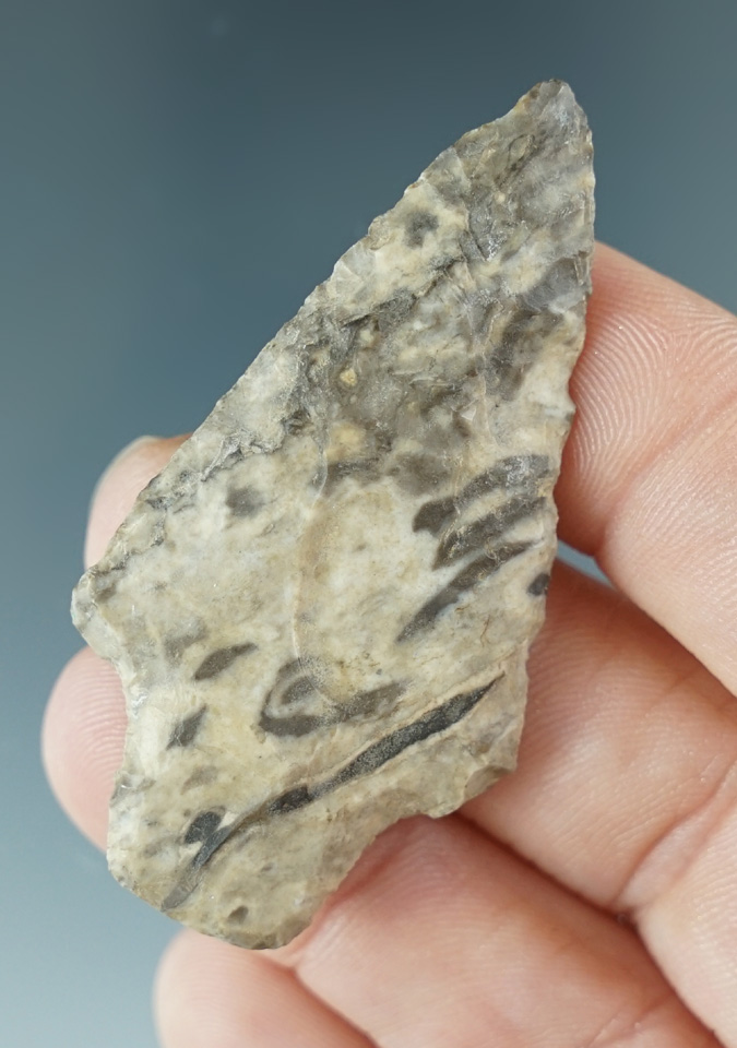 2 1/8" stemmed point - attractive material - four corners area of the Southwest.